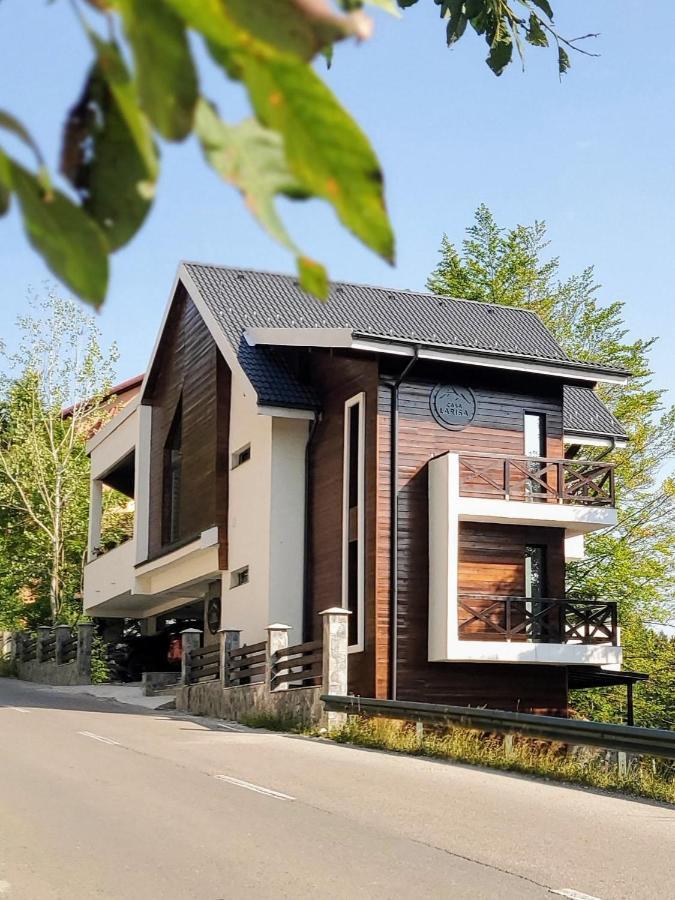 Casa Larisa Antonia Apartments Sinaia Exterior foto